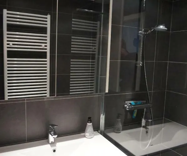 Mariakerke-bad Zeezicht Appartement