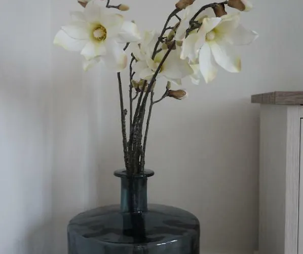 Mariakerke-bad Zeezicht *